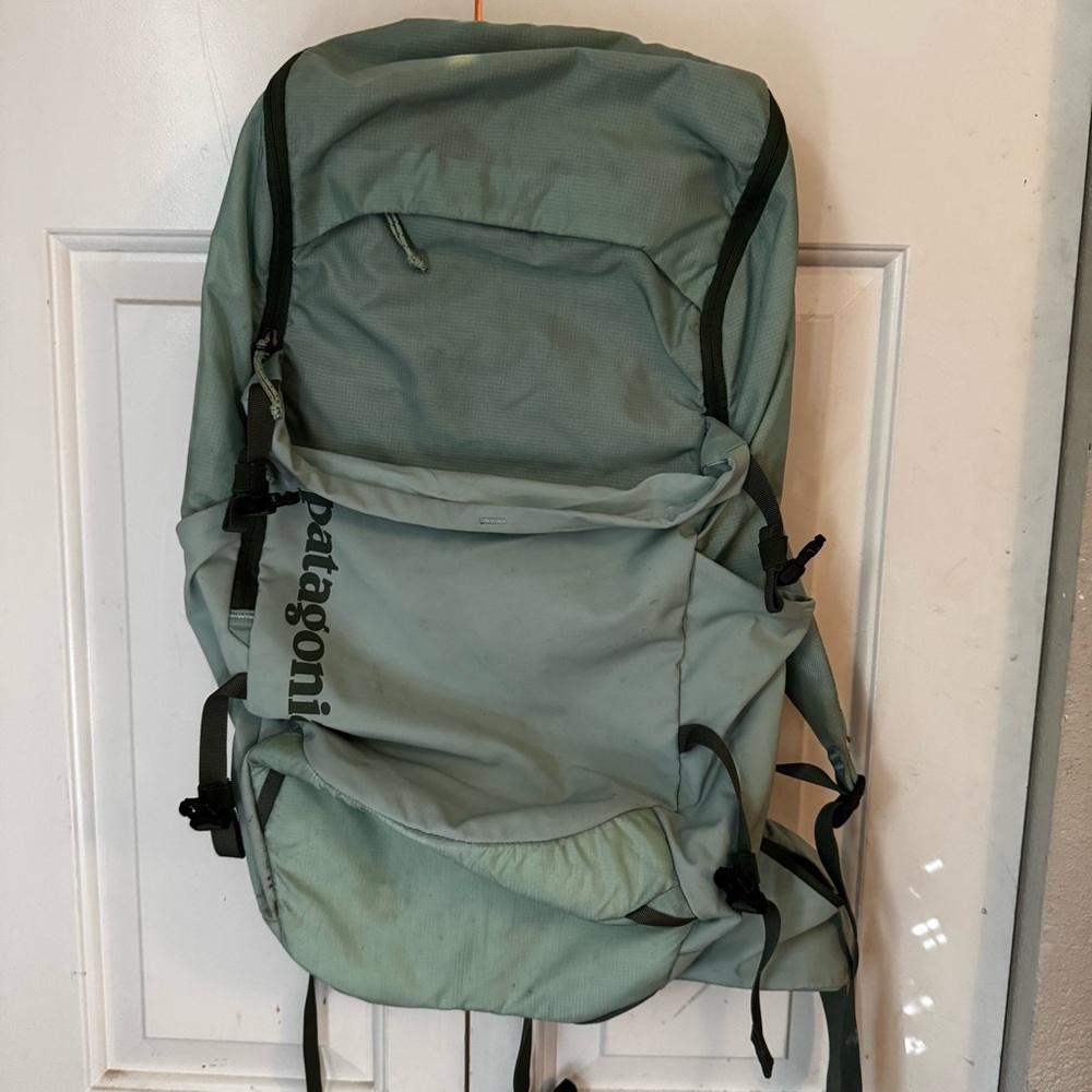 Patagonia Green Backpack